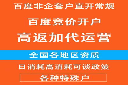 百度推广策略揭秘：某行业领头羊的成功经验
